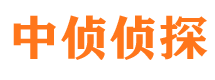 廛河私人侦探